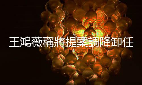 王鴻薇稱將提案調降卸任正副總統禮遇金，陳建仁回應：尊重審議結果
