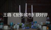 王鷗《發條城市》獲好評：帶著顏值刷演技