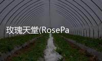 玫瑰天堂(RoseParadise)手機版游戲介紹（玫瑰天堂(RoseParadise)手機版）