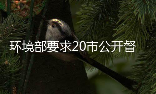 環境部要求20市公開督辦問題清單否則問責,行業資訊