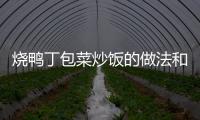 燒鴨丁包菜炒飯的做法和食材用料及健康功效