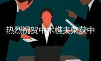 熱烈祝賀中木樵夫榮獲中木榜“板材類十大品牌”榮譽稱號