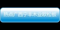 熱點廣西寧豐木業歐松板以及廣西寧豐木業的分享