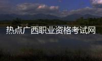 熱點廣西職業(yè)資格考試網官網心理咨詢師以及廣西職業(yè)資格考試的分享