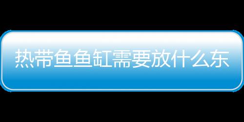 熱帶魚魚缸需要放什么東西？熱帶魚魚缸放什么水草好