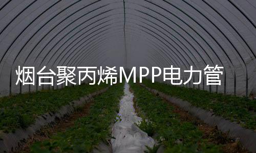 煙臺聚丙烯MPP電力管價格優惠