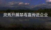 靈秀開展禁毒宣傳進企業(yè)活動