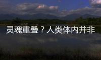 靈魂重疊？人類體內(nèi)并非一人