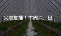 火爆加推！本周六、日，梅州日?qǐng)?bào)讀者團(tuán)帶你看海、踏浪、品海鮮