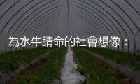 為水牛請命的社會想像：陽管處至少先學著友善動物，才有辦法管領自然