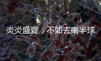 炎炎盛夏，不如去南半球喝酒度假吧！