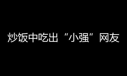 炒飯中吃出“小強”網友：幸好吃到的不是半只