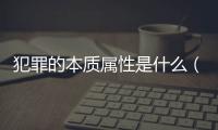 犯罪的本質(zhì)屬性是什么（犯罪的本質(zhì)特征是）