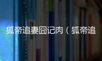 狐帝追妻囧記肉（狐帝追妻囧記）