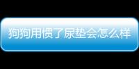 狗狗用慣了尿墊會(huì)怎么樣？狗用尿墊太浪費(fèi)了怎么辦