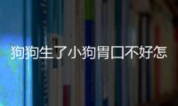 狗狗生了小狗胃囗不好怎么辦(狗狗生了小狗胃囗不好吃什么藥)