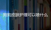 狗狗皮膚護理可以噴什么藥膏？狗狗皮膚用什么藥最好