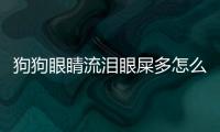 狗狗眼睛流淚眼屎多怎么回事兒？狗狗眼睛流淚有眼屎怎么回事