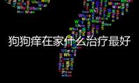 狗狗癢在家什么治療最好？狗狗癢怎么辦