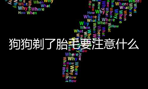 狗狗剃了胎毛要注意什么事項？狗狗剃了胎毛要注意什么問題