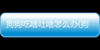 狗狗吃啥吐啥怎么辦(狗狗吃啥能長胖)