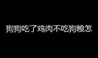 狗狗吃了雞肉不吃狗糧怎么辦(狗狗吃狗糧拉軟便需要換狗糧嗎)