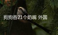 狗狗吞21個奶嘴 外國的狗都這么厲害嗎？