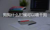 狗狗什么時候可以喂干狗糧(柯基什么時候可以喂干狗糧)