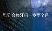 狗狗會換牙嗎一歲兩個月正常嗎？狗狗會換牙嗎一歲兩個月了還沒長