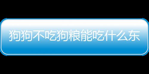 狗狗不吃狗糧能吃什么東西？狗狗不吃狗糧能吃什么水果