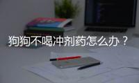 狗狗不喝沖劑藥怎么辦？狗狗不肯吃藥怎么辦?教你一招