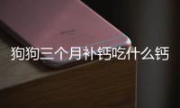 狗狗三個(gè)月補(bǔ)鈣吃什么鈣片好呢？三個(gè)月的狗狗補(bǔ)鈣吃什么好