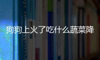 狗狗上火了吃什么蔬菜降火？狗狗上火了吃什么蔬菜比較好