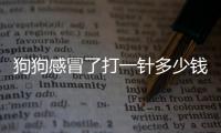 狗狗感冒了打一針多少錢啊？狗狗感冒了打一針多少錢疫苗