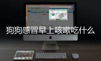 狗狗感冒早上咳嗽吃什么藥管用呢？狗狗感冒了干咳嗽吃什么藥