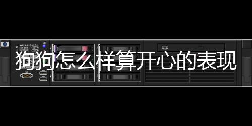 狗狗怎么樣算開心的表現？狗狗什么表現是開心