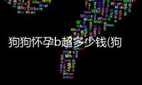 狗狗懷孕b超多少錢(狗狗懷孕照x光還是b超)
