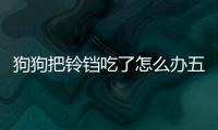 狗狗把鈴鐺吃了怎么辦五個(gè)月了還沒好？幼犬把鈴鐺吃下去了怎么辦