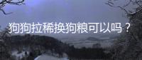 狗狗拉稀換狗糧可以嗎？狗狗拉稀換狗糧有用嗎