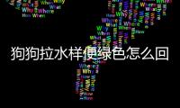 狗狗拉水樣便綠色怎么回事？狗狗拉水樣便綠色粘液