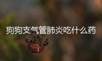 狗狗支氣管肺炎吃什么藥好得快(狗狗支氣管肺炎霧化管用嗎)