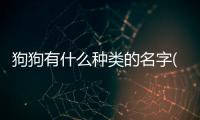 狗狗有什么種類的名字(狗狗什么種類的作文)