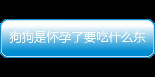 狗狗是懷孕了要吃什么東西怎么回事呀(狗狗懷孕后需要吃什么)