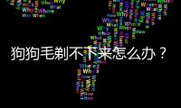 狗狗毛剃不下來怎么辦？狗毛剃不動怎么辦