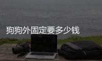 狗狗外固定要多少錢  狗狗內固定和外固定哪個好