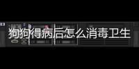 狗狗得病后怎么消毒衛生？狗狗得病了,怎么給家里消毒