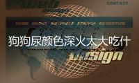 狗狗尿顏色深火太大吃什么藥？狗尿顏色深黃是什么情況