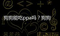 狗狗能吃ppa嗎？狗狗眼睛腫了可以吃消炎藥嗎