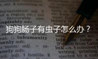 狗狗腸子有蟲(chóng)子怎么辦？狗狗腸子有蟲(chóng)子吃什么藥