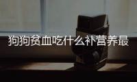 狗狗貧血吃什么補營養(yǎng)最快？狗狗貧血吃什么補營養(yǎng)好